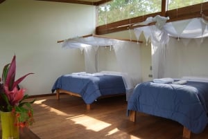 Cusco: Manu Bio Lodge 3-dagers alt inkludert Amazonas-retreat