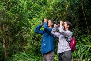 Cusco: Manu Bio Lodge 3-dagers alt inkludert Amazonas-retreat