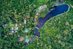 Cusco: Manu Bio Lodge 3-dagers alt inkludert Amazonas-retreat