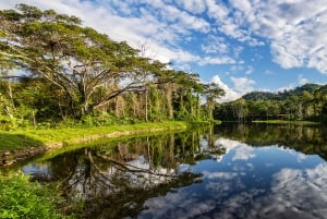 Cusco: Manu Bio Lodge 3-dagers alt inkludert Amazonas-retreat