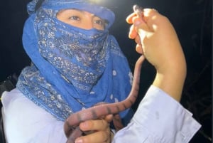 Cusco: Manu Bio Lodge 3-Day All-Inclusive Amazon Retreat