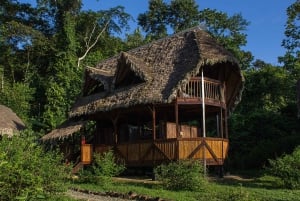 Cusco: Manu Learning Center 3-dagers alt inkludert Amazonas-tur