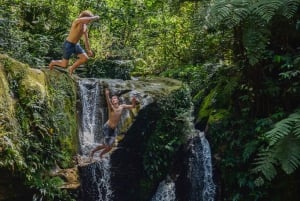 Cusco: Manu Learning Center 3-dagers alt inkludert Amazonas-tur