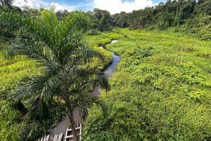 Cusco: Manu National Park - 3-Day on Amazon Natural Reserve