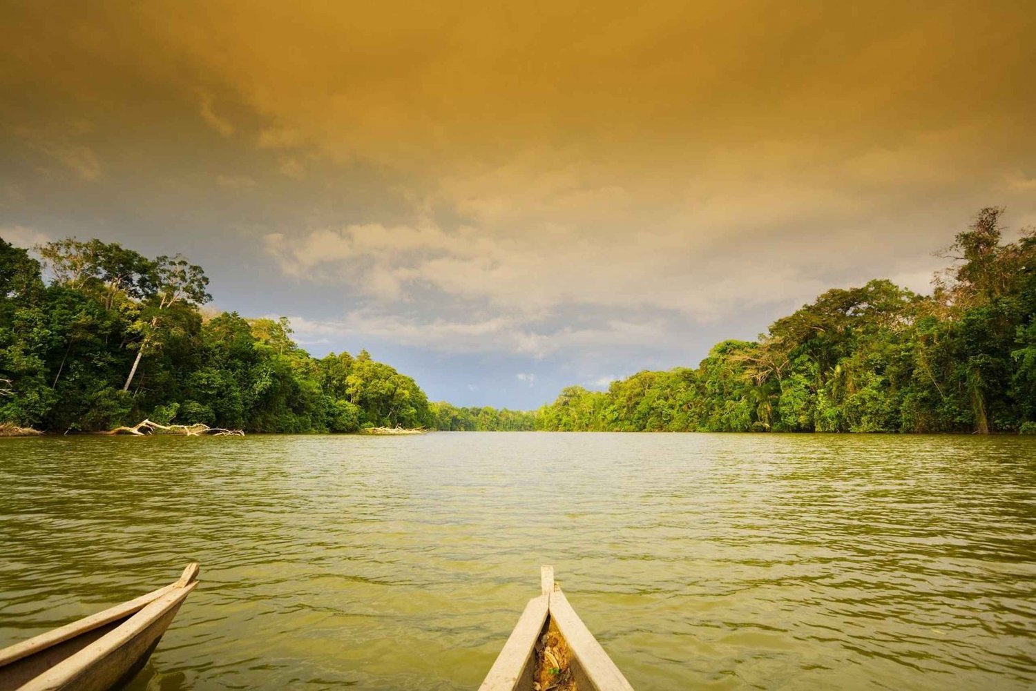Cusco: Manu National Park | 4 Days Amazon Jungle Reserve