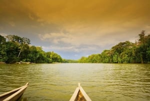 Cusco: Manu National Park | 4 Days Amazon Jungle Reserve
