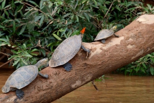Cusco: Manu National Park | 4 Days Amazon Jungle Reserve
