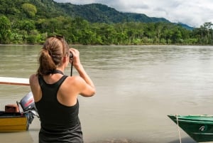 Cusco: Manu National Park | 4 Days Amazon Jungle Reserve