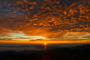 Cusco: Manun kansallispuisto ja Paucartambon auringonnousu 2 päivän retki