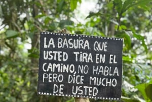 Cusco : Parc national du Manu - 3 jours dans la réserve naturelle d'Amazonie