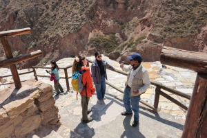 Cusco: Maras Salt Mines and Moray Terraces Tour