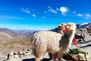 Cusco: 7-Farben-Berg Vinicunca und das Rote Tal (optional)