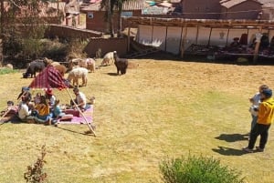 Cuzco: Passeio pelo Vale Ñujchu com almoço Pachamanca