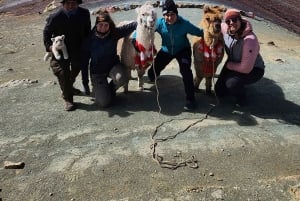 Куско: гора 7 цветов Палькойо и посещение каменного леса (с питанием)