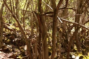 Cusco: wodospad Perolniyoc, Raqaypata i wędrówka do Ñaupa Iglesia