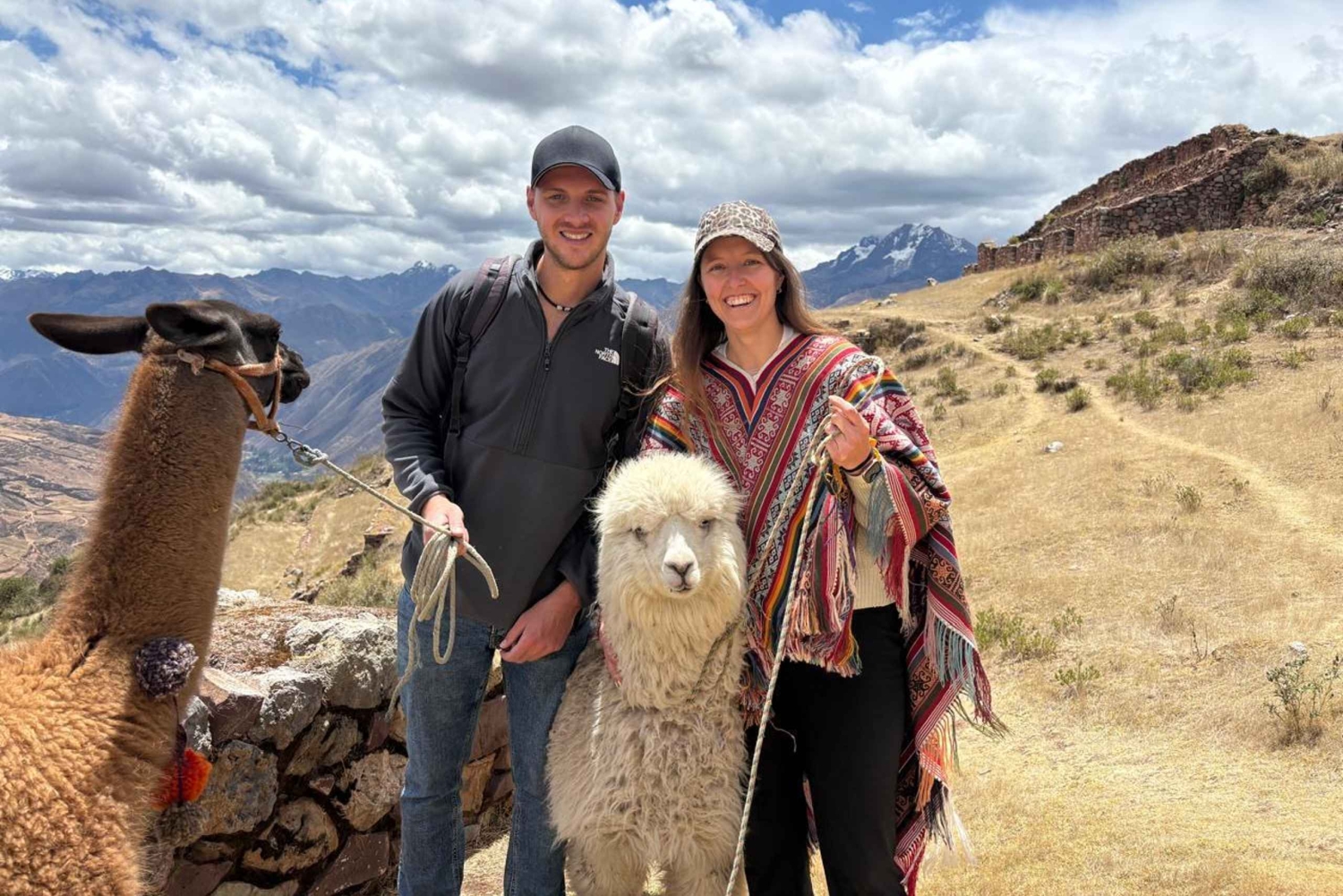Cusco, Peru: Alpaca Walking Experience