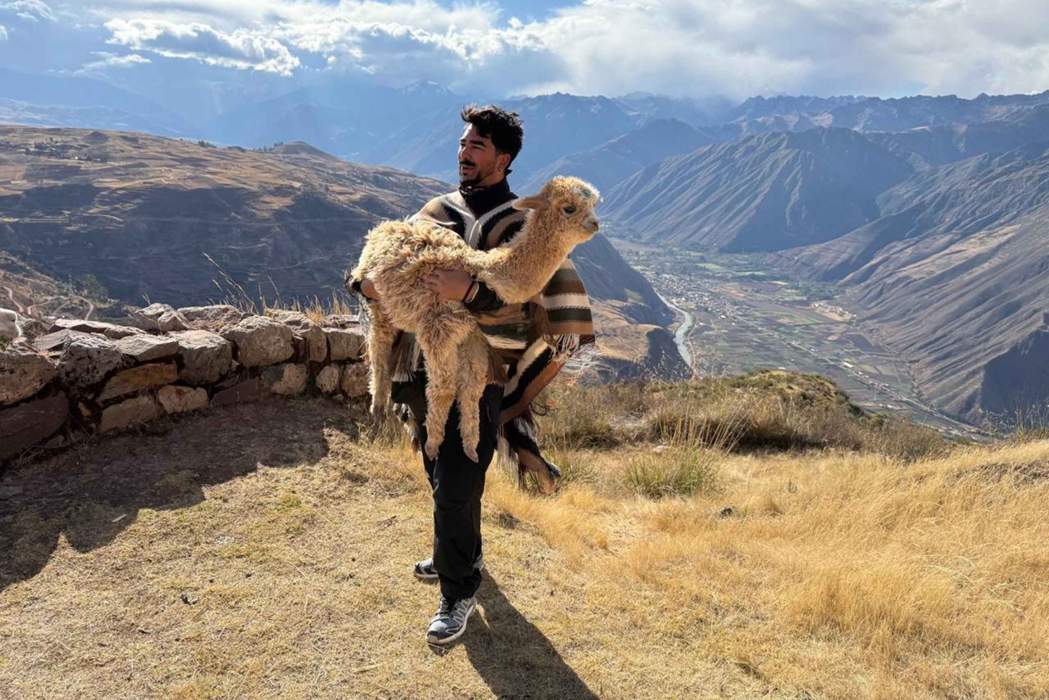 Cusco, Peru: Alpaca Walking Experience