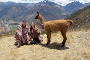 Cusco, Peru: Alpaca Walking Experience