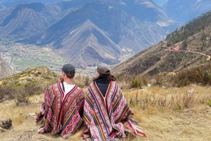 Cusco, Peru: Alpaca Walking Experience