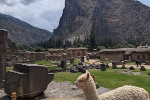 Cusco: Pisaq & Ollantaytambo eindigen in Ollantaytambo met lunch