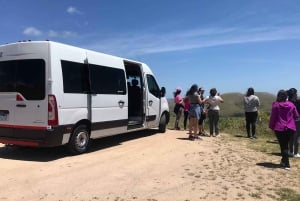 Cusco: Traslado Privado Estación de Tren de Poroy