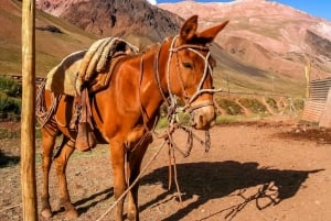 Cusco: Yksityinen kanoottiretki ja ratsastusretki Pyhällä laaksossa