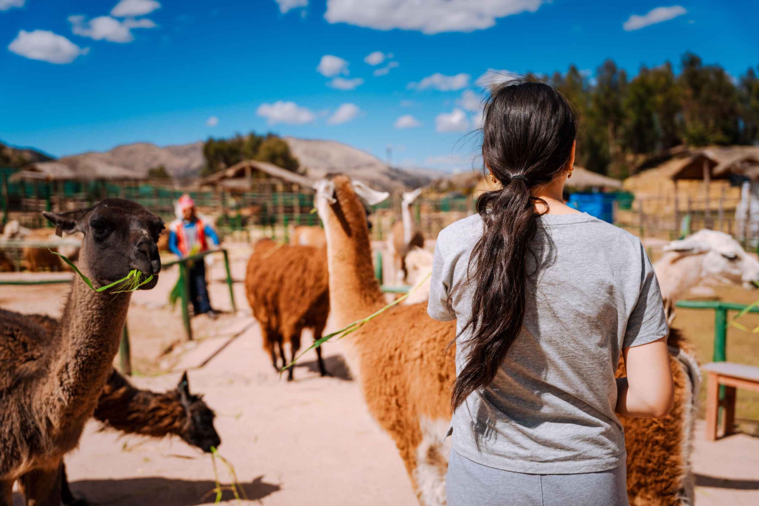 Cusco: Private City Tour with Sacsayhuamán & Tambomachay