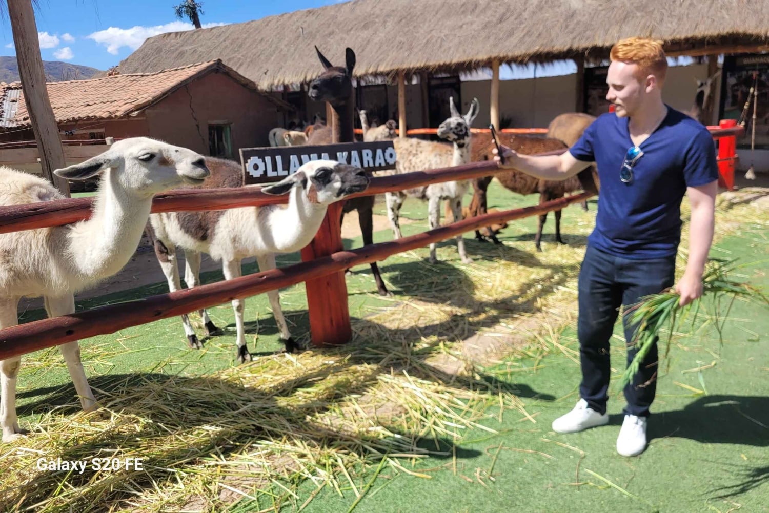 クスコ：インカ遺跡4～6か所を訪れる半日市内ツアー（プライベート）