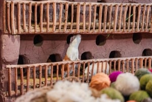 Cusco: Yksityinen vaellus Patacanchan yhteisössä, sisältää noudon