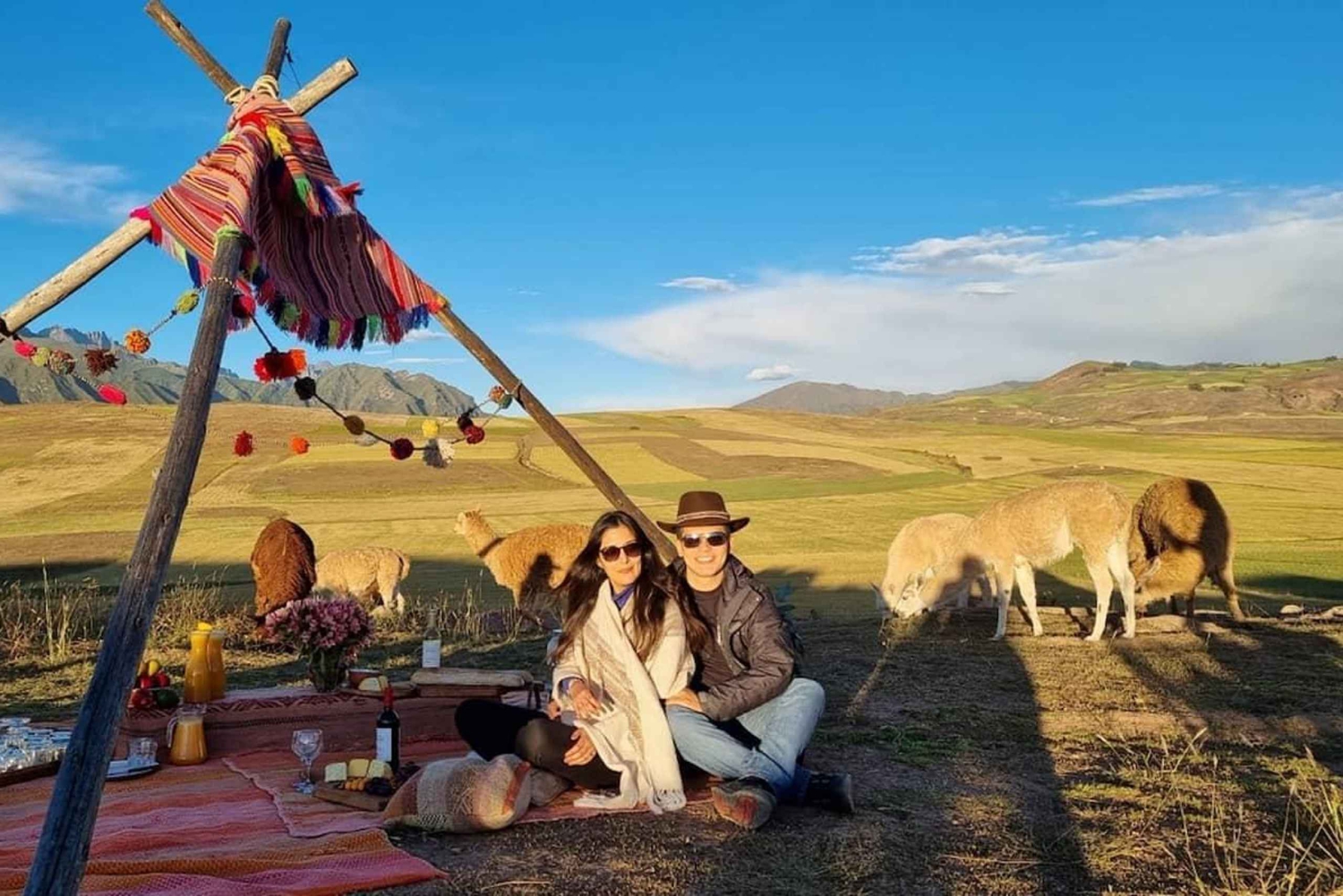 Cusco: Private picnic with view of the Sacred Valley, llamas and Maras & Moray