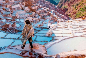 Cusco: Private picnic with view of the Sacred Valley, llamas and Maras & Moray