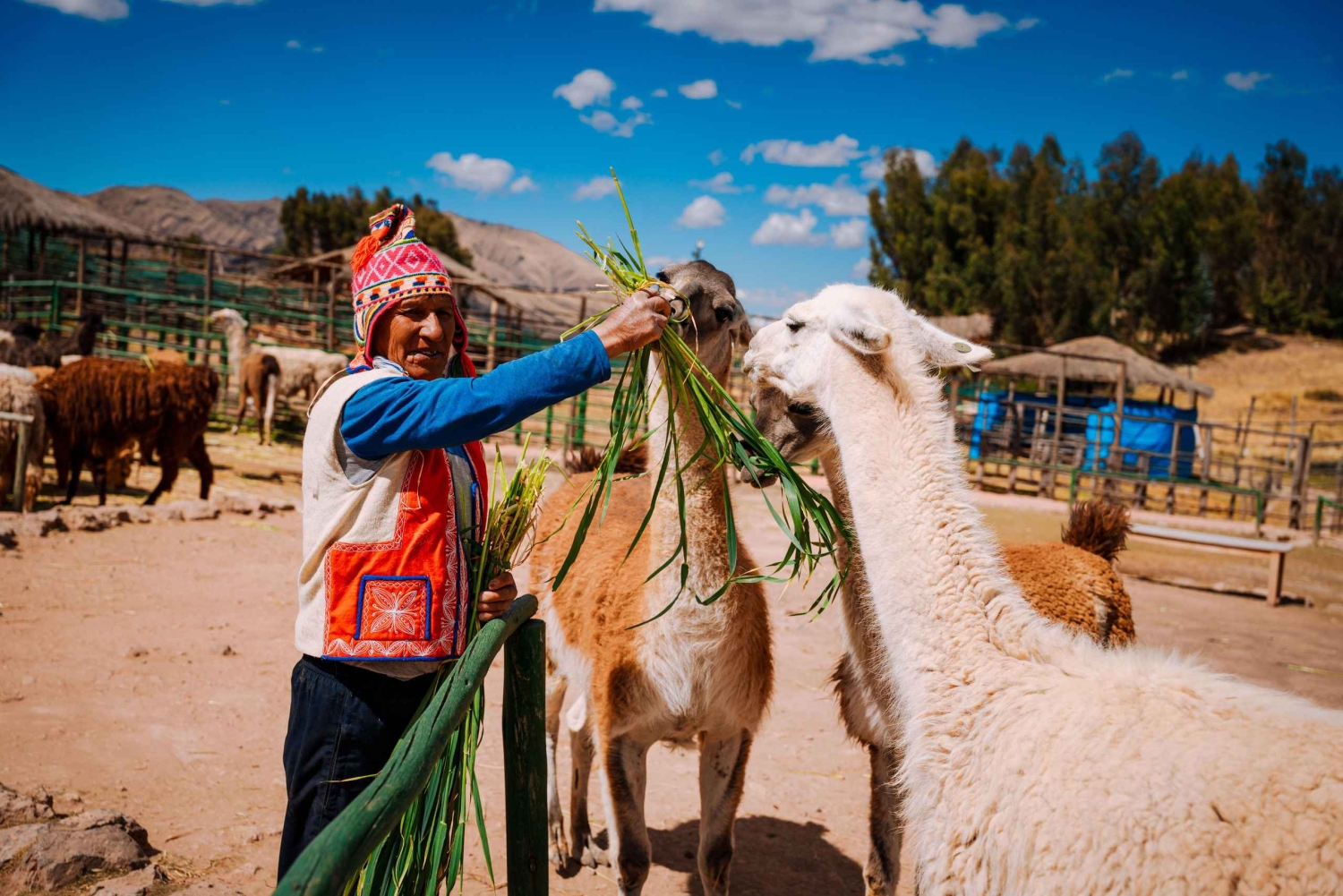 Cusco: Private Walking Tour with Local Guide