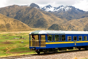 Cusco: Puno and Lake Titicaca Train Trip with Lunch and Tea