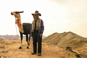 Cusco: Qelccaya Glacier Full-Day Guided Hike with Meals