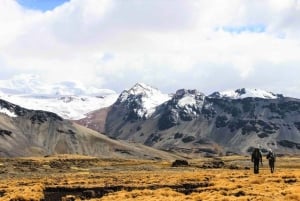 Cusco: Heldagsäventyr på Quelccaya-glaciären