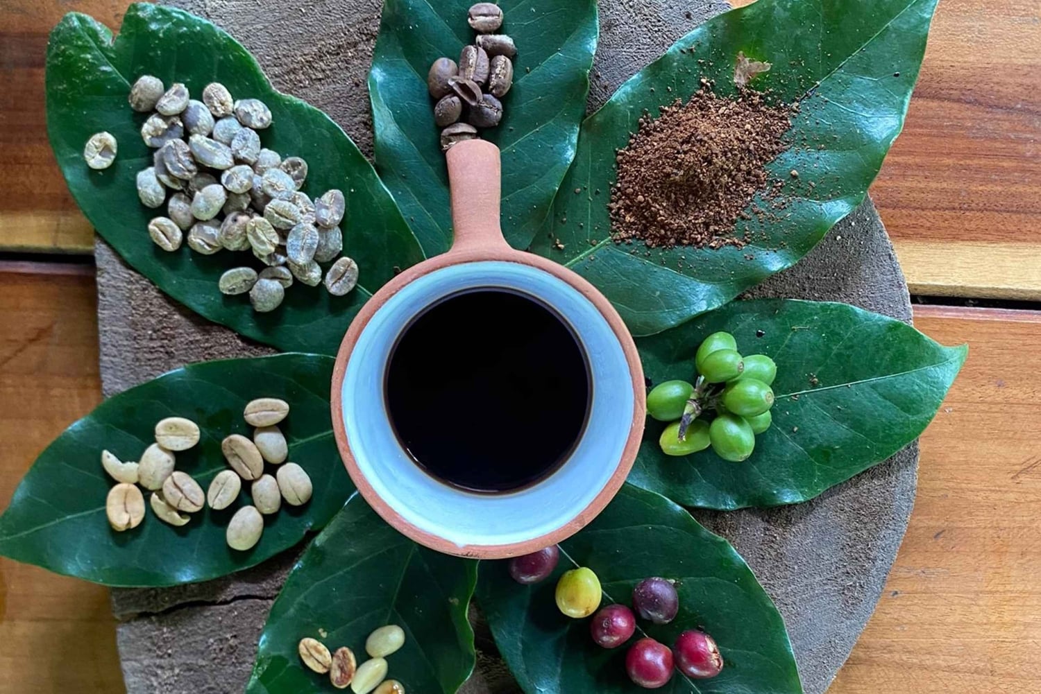 Cusco, Quillabamba. Coffee and Chocolate Experience, aroma tour