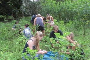 Cusco, Quillabamba. Coffee and Chocolate Experience, aroma tour