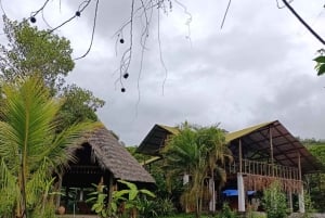 Cusco, Quillabamba. Coffee and Chocolate Experience, aroma tour