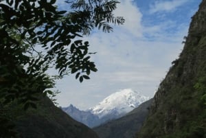 Cusco, Quillabamba. Coffee and Chocolate Experience, aroma tour