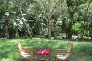 Cusco, Quillabamba. Coffee and Chocolate Experience, aroma tour