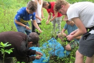 Cusco, Quillabamba. Coffee and Chocolate Experience, aroma tour