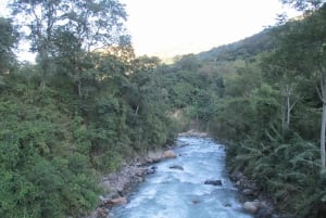 Cusco, Quillabamba. Coffee and Chocolate Experience, aroma tour