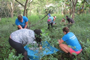 Cusco, Quillabamba. Coffee and Chocolate Experience, aroma tour