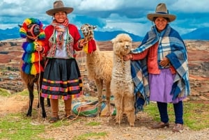 Cusco: Racchi Community Visit with Llama Walk & Lunch