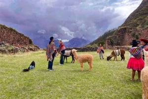 Cusco: Racchi Community Visit with Llama Walk & Lunch