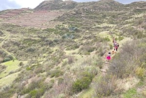 Cusco: Racchi Community Visit with Llama Walk & Lunch
