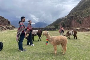 Cusco: Racchi Community Visit with Llama Walk & Lunch