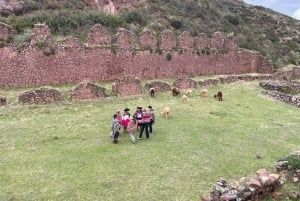 Cusco: Racchi Community Visit with Llama Walk & Lunch