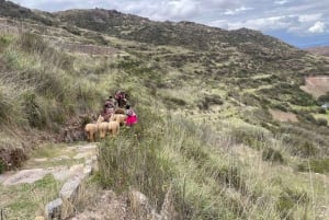 Cusco: Racchi Community Visit with Llama Walk & Lunch