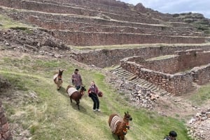 Cusco: Racchi Community Visit with Llama Walk & Lunch